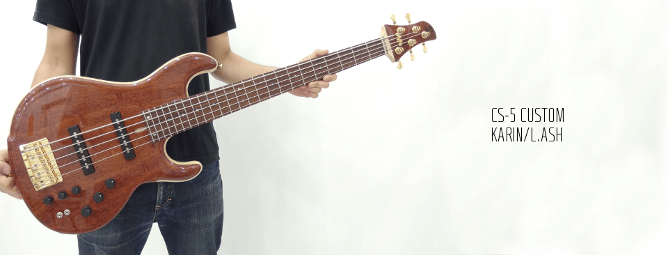 dragonfly CS-5 CUSTOM